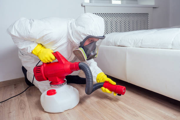Best Pest Removal Services  in Cut Bank, MT